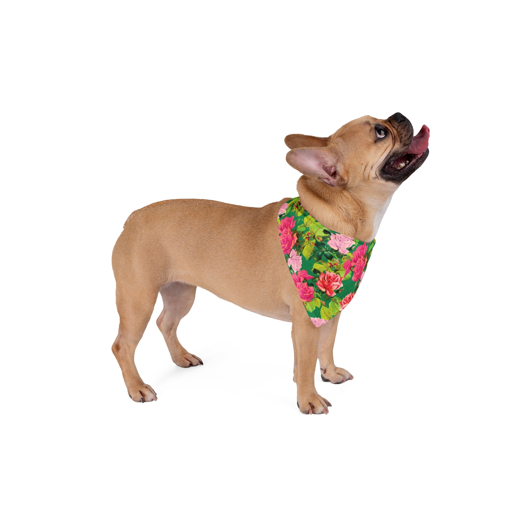 Garish Garden - Colorful Floral Pet Bandana