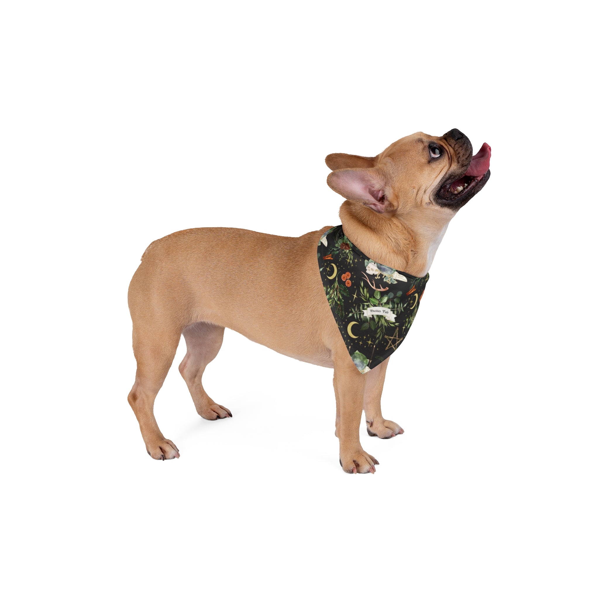 Blessed Yule - Witchy Holiday Pet Bandana